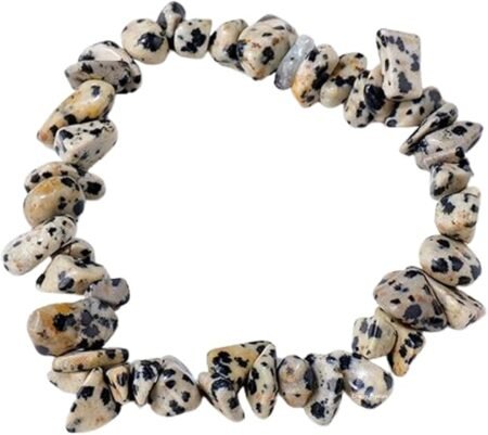 Dalmatian Jasper Chips Bracelet